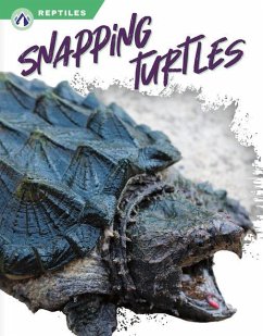 Cover Snapping Turtles