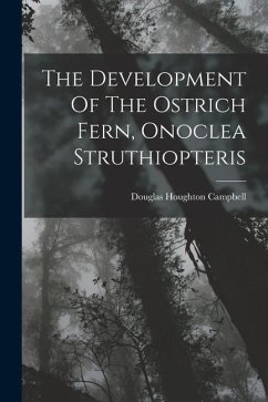 The Development Of The Ostrich Fern, Onoclea Struthiopteris - Campbell, Douglas Houghton