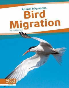 Bird Migration - Breach, Jen