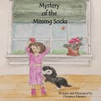Mystery of the Missing Socks