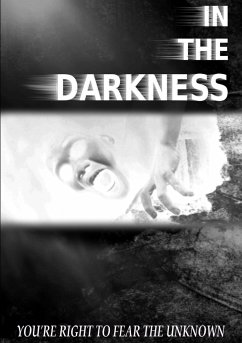 In the Darkness - Press, Thirteen