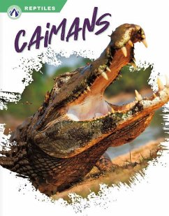 Caimans - Bow, James