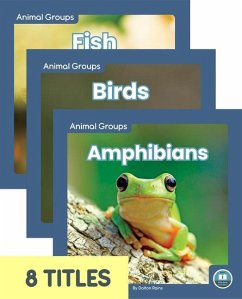 Animal Groups (Set of 8) - Various