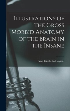 Illustrations of the Gross Morbid Anatomy of the Brain in the Insane - Elizabeths Hospital (Washington, D C