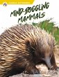 Mind-Boggling Mammals - Bild 1