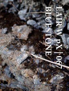 Cover LAIR W pX 067 Bluestone