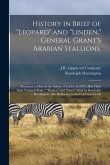 History in Brief of &quote;Leopard&quote; and &quote;Linden,&quote; General Grant's Arabian Stallions,