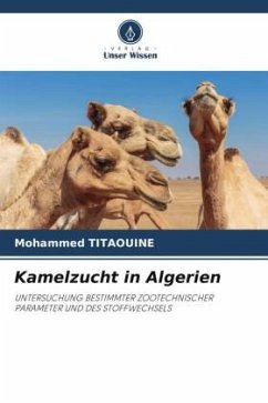 Kamelzucht in Algerien - Titaouine, Mohammed