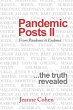 Pandemic Posts Ii - Bild 1