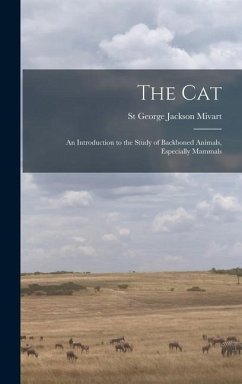 The Cat - Mivart, St George Jackson