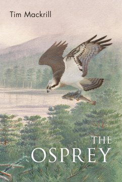 The Osprey - Mackrill, Tim (Author)