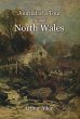 Journal of a Tour through North Wales... - Bild 1