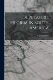 A Pleasure Pilgrim in South America