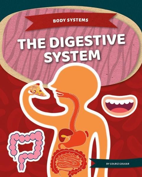 Digestive System Digestive System