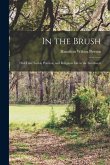 In the Brush: Old-Time Social, Political, and Religious Life in the Southwest