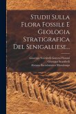 Studii Sulla Flora Fossile E Geologia Stratigrafica Del Senigalliese... Studii Sulla Flora Fossile E Geologia Stratigrafica Del Senigalliese...