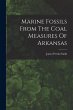 Marine Fossils From The Coal Measures... - Bild 1