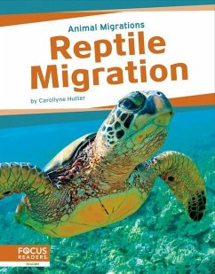 Reptile Migration - Hutter, Carollyne
