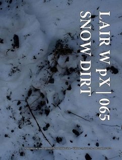 LAIR W pX 065 Snow Dirt - Wetdryvac