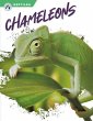 Chameleons - Bild 1