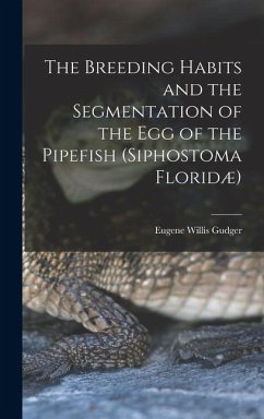 The Breeding Habits and the Segmentation of the egg of the Pipefish (Siphostoma Floridæ) - Gudger, Eugene Willis