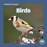 Birds - Bild 1