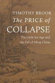 The Price of Collapse (eBook, ePUB)
