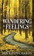 Wandering Feelings - Bild 1