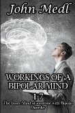 Workings of a Bipolar Mind 1-7 Omnibus
