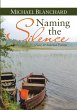 Naming the Silence - Bild 1