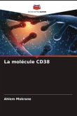 La molécule CD38