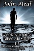 Workings of A Bipolar Mind 1-3 Omnibus