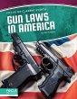 Gun Laws in America - Bild 1