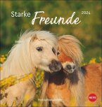 Pferde Postkartenkalender 2024