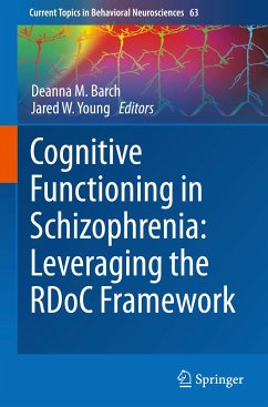 Cognitive Functioning in Schizophrenia: Leveraging the RDoC Framework