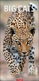 Big Cats Kalender 2024 Big Cats Kalender 2024