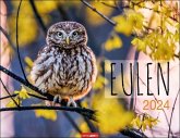 Eulen Kalender 2024. Beeindruckende Aufnahmen der schönen Greifvögel in einem großen Fotokalender. Ein Wand-Kalender 2024 für alle Fans der nachtaktiven Vögel. 44x34 cm Querformat Eulen Kalender 2024. Beeindruckende Aufnahmen der schönen Greifvögel in einem großen Fotokalender. Ein Wand-Kalender 2024 für alle Fans der nachtaktiven Vögel. 44x34 cm Querformat