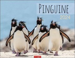 Pinguine Kalender 2024. Wand-Kalender mit Kaiser-, Adelie-, Zügel- und Felsenpinguinen. Großer Wandkalender für Tierfreunde. Von namhaften Fotografen gestalteter Naturkalender. Querformat 44x34 cm - Klein, Jean-Louis; Hubert, Marie-Luce