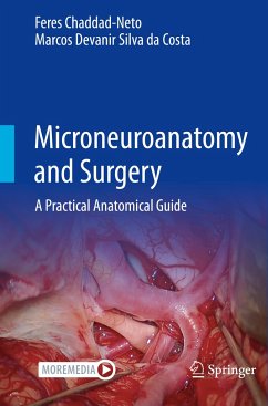 Microneuroanatomy and Surgery - Chaddad-Neto, Feres;Silva da Costa, Marcos Devanir