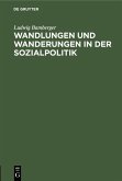 Wandlungen und Wanderungen in der Sozialpolitik (eBook, PDF)
