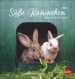 Süße Kaninchen Postkartenkalender 2024 - Süße Kaninchen Postkartenkalender 2024. Tierfotografin Monika Wegler setzt in einem kleinen Kalender niedliche Häschen i