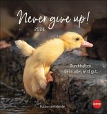 Never give up! Postkartenkalender 2024