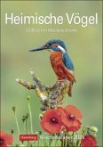 Heimische Vögel Wochenplaner 2024. Wochenkalendarium, Infos zu den porträtierten Vogelarten und viel Platz für Termine in dem praktischen Wand-Kalender 2024 zum Eintragen Heimische Vögel Wochenplaner 2024. Wochenkalendarium, Infos zu den porträtierten Vogelarten und viel Platz für Termine in dem praktischen Wand-Kalender 2024 zum Eintragen