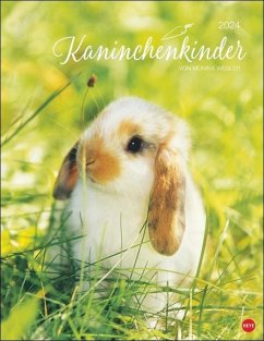 Kaninchenkinder Posterkalender 2024 - Kaninchenkinder Posterkalender 2024 von Monika Wegler. Ein bezaubernder Tierkalender mit süßen Fotos. Dekorativer Kalend