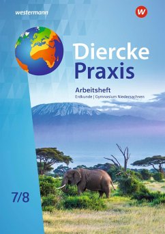 Diercke Praxis SI Erdkunde 7 / 8. Arbeitheft - Flammang, Verena;Häusler, Martin;Meyer, Christiane