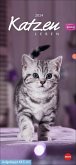 Whiskas Katzenleben Kalender 2024. Süße Kätzchen in allen Lebenslagen in einem Wandkalender 2024 zum Eintragen. Immer den Überblick über alle Termine mit dem praktischen Streifenkalender.