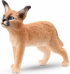 Cover Schleich 14868 - Wild Life, Karakal Junges, Wildkatze, Tierfigur