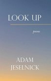 Look Up (eBook, ePUB)