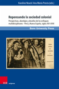 Repensando la sociedad colonial