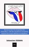 Chroniques de France (eBook, ePUB)